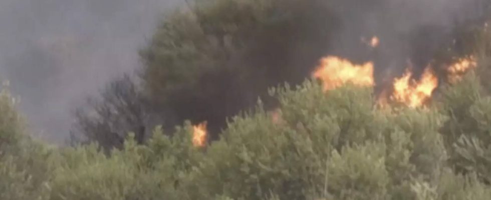 Bei Waldbraenden in ganz Algerien kamen 25 Menschen ums Leben