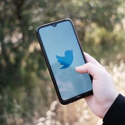 CEO Musk schraenkt Twitter Nutzer wegen digitaler Angriffe ein Technik