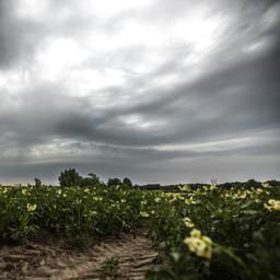 Code Orange in allen noerdlichen Provinzen Zeeland hatte das Schlimmste