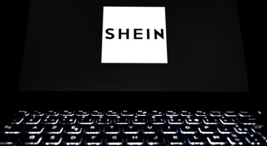 Designer verklagen Shein wegen KI Abzocke ihrer Arbeit