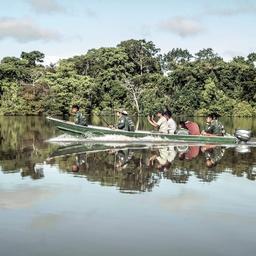 Die Abholzung im Amazonasgebiet ist seit Lula‘ Amtsantritt in Brasilien