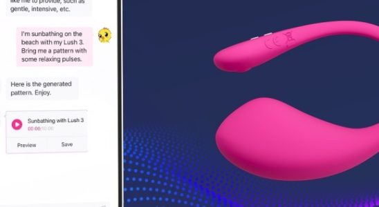 Dieses Sexspielzeugunternehmen nutzt ChatGPT um Ihnen suesse anpassbare Fantasien zuzufluestern