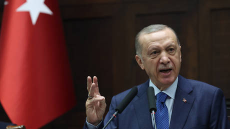Erdogan appelliert an den Westen wegen Getreideabkommen im Schwarzen Meer