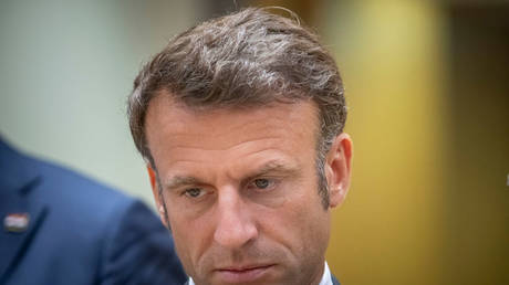 Frankreichs Macron hat seine Meinung ueber die NATO geaendert –