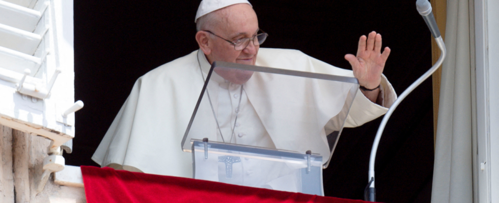 Getreideinfrastruktur Papst fordert russische „Brueder auf das Schwarzmeer Getreideabkommen wiederherzustellen