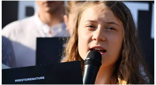 Greta Thunberg wurde wegen Ungehorsams gegenueber der schwedischen Polizei zu