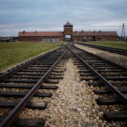 Holocaust Leugnung jetzt wirklich strafbar maximal 1 Jahr Gefaengnis fuer Verstoesse