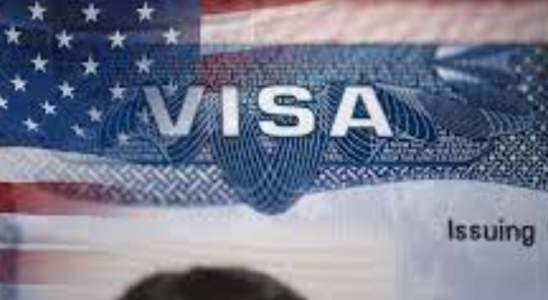 MINT Bildung US Gesetzgeber bringt Gesetzesentwurf zur Verdoppelung von H 1B Visa vor Hier