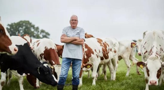Stark vernachlaessigtes Vieh Aelterer Landwirt in Isolation haeufiger in Schwierigkeiten