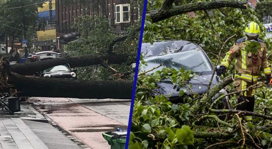 Sturm Poly wuetet ueber den Niederlanden und hinterlaesst grosse Verwuestung
