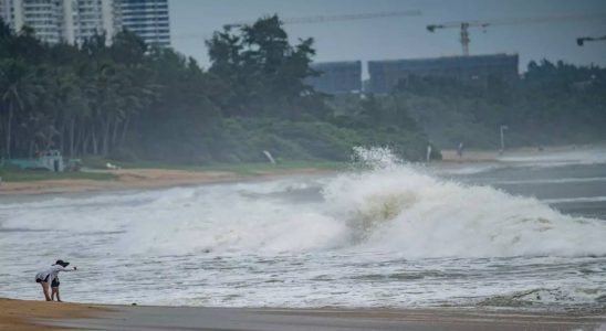 Taifun Talim hinterlaesst zerstoerte Fahrzeuge und gestrandeten Wal im Sueden