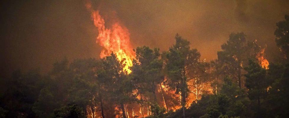Touristen fliehen vor einem Waldbrand auf der griechischen Insel Rhodos