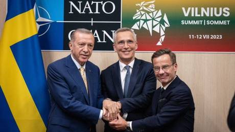 Tuerkiye stimmt zu Schwedens NATO Angebot zu unterstuetzen – World