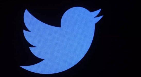 Twitter gibt an die Nutzung eingeschraenkt zu haben um Bots