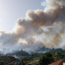Waldbrand auf spanischer Insel La Palma moeglicherweise durch Feier verursacht