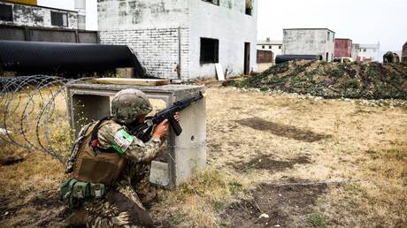 Westliche Buerokratie beeinflusste Kiews Gegenoffensive – britischer Experte – World
