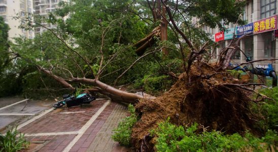 ​Taifun Talim verursacht Chaos in China​