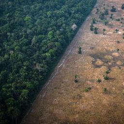 1691569821 Suedamerikanische Laender bilden Buendnis zur Rettung des Amazonas Regenwaldes Klima