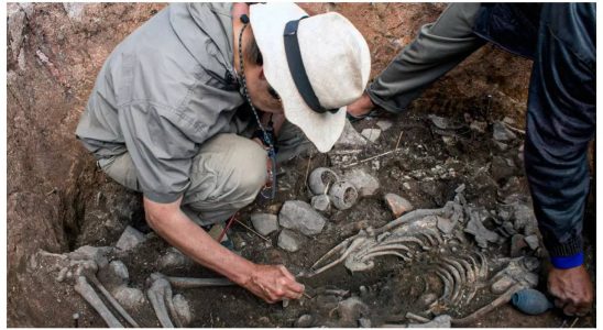 Archaeologen graben im Norden Perus ein 3000 Jahre altes Priestergrab