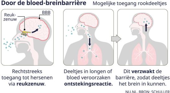 Das sind die Auswirkungen von Waldbraenden auf Ihre Gesundheit –