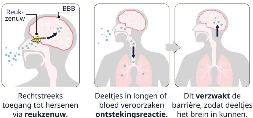 Das sind die Auswirkungen von Waldbraenden auf Ihre Gesundheit –