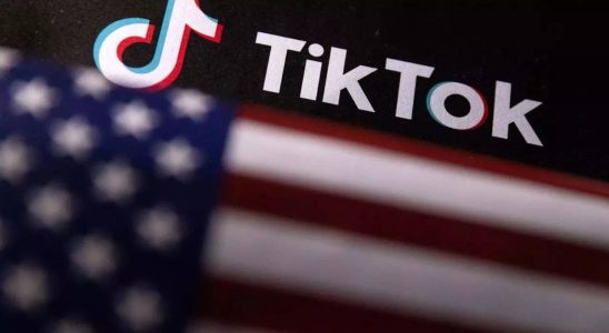 Die Montana AG bittet das Gericht die Anfechtung von TikTok