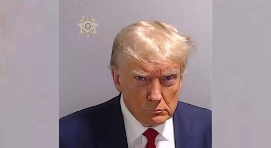 Die gespaltenen USA begruessen Trump Fahndungsfotos