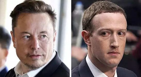 Elon Musk bezeichnet Mark Zuckerberg inmitten von Kaefigkampf Aeusserungen als „Huhn