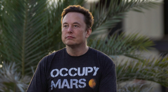 Elon Musk erlaubt X Blue Benutzern ihre Haekchen zu verbergen