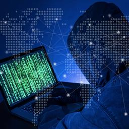 Globales Netzwerk gehackter Computer von OM und FBI entschaerft
