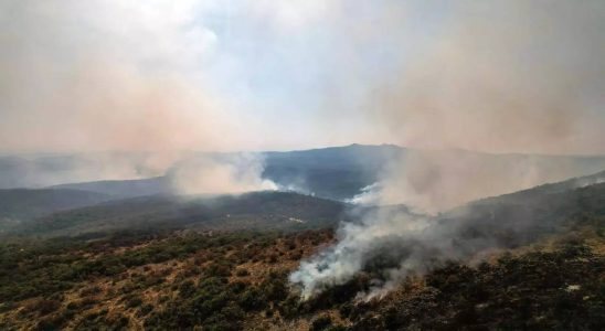 Griechenland Ein Waldbrand in Griechenland zerstoert ein Gebiet das groesser