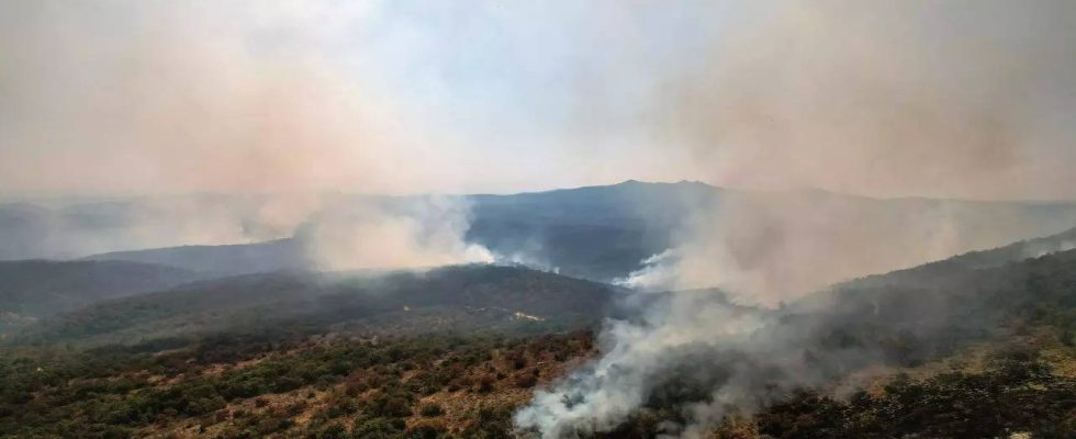 Griechenland Ein Waldbrand in Griechenland zerstoert ein Gebiet das groesser