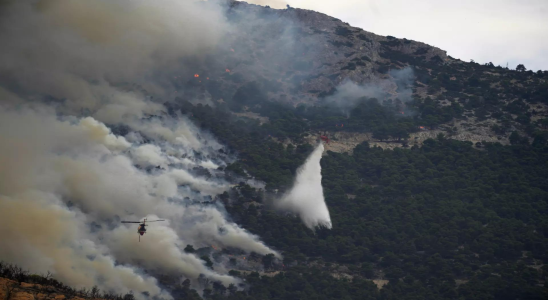 Griechenland Europaeische Feuerwehrleute und Flugzeuge kaempfen gemeinsam gegen Waldbraende bei