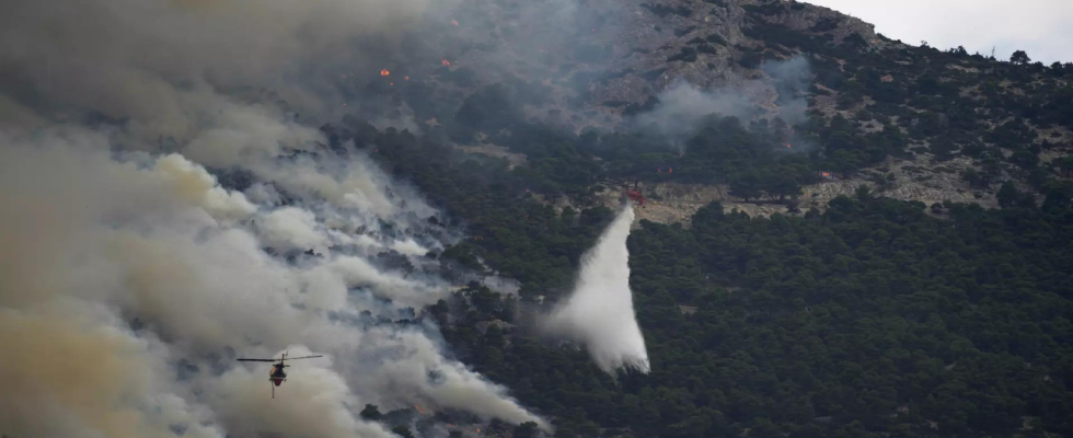 Griechenland Europaeische Feuerwehrleute und Flugzeuge kaempfen gemeinsam gegen Waldbraende bei