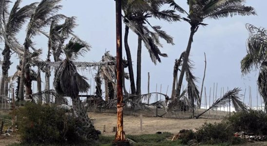 Hurrikan Hilary Mindestens ein Toter als seltener tropischer Sturm das