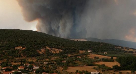 In Griechenland sind bereits 100000 Fussballfelder verloren Groesster Waldbrand in