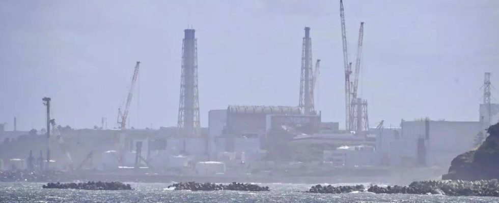 Japanische Meeresfruechte Abwasser aus Fukushima N Anlage freigesetzt China verbietet japanische Meeresfruechte