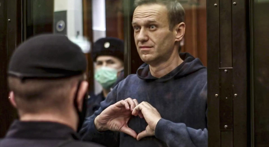 Kremlkritiker Nawalny wegen Extremismus verurteilt und zu 19 Jahren Gefaengnis