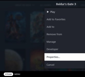 Laeuft Baldurs Gate 3 auf Steam Deck BG3