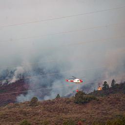 Mehrere Doerfer auf Teneriffa wurden wegen eines grossen Waldbrandes evakuiert