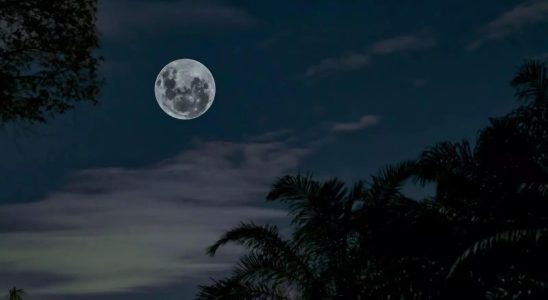 Mond Super Blue Moon 2023 So sehen Sie den Live Stream