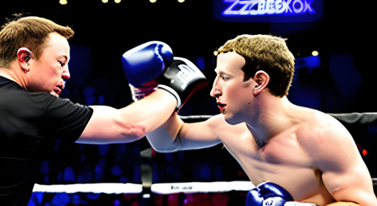 Musk Elon Musk bestaetigt dass der Kampf mit Mark Zuckerberg