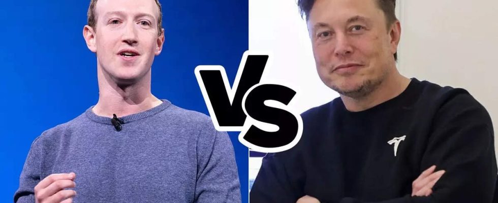 Nach der Entlassung von Mark Zuckerberg postet X Besitzer Elon Musk