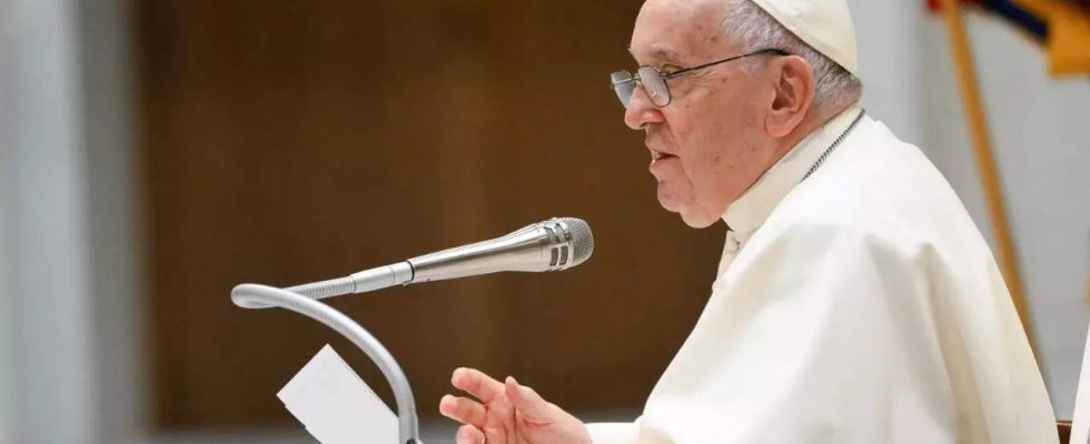 Papst Desinformation „erste Suende des Journalismus