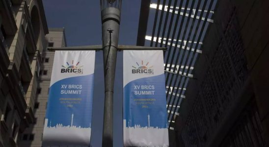 Russland und China wollen beim BRICS Gipfel der Entwicklungslaender in Suedafrika