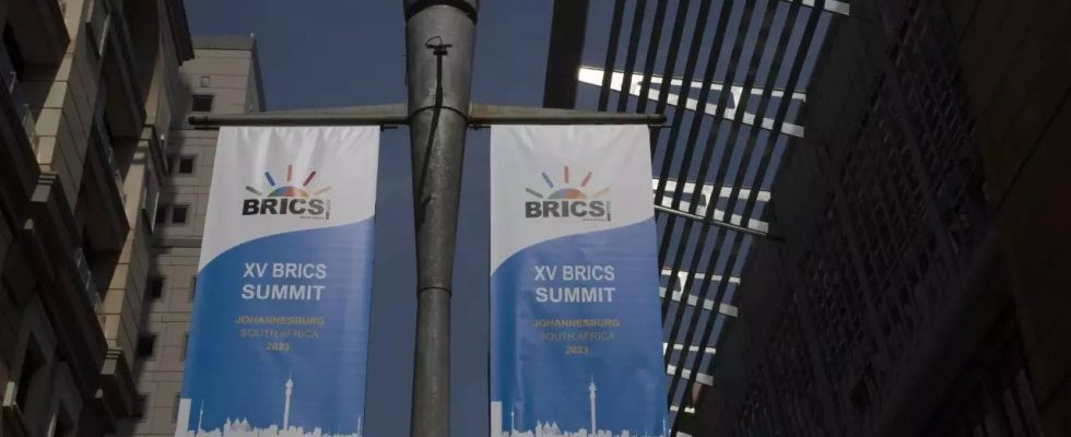 Russland und China wollen beim BRICS Gipfel der Entwicklungslaender in Suedafrika