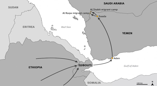 Saudi Arabien Aethiopien sagt es werde gemeinsam mit Saudi Arabien mutmassliche Toetungen