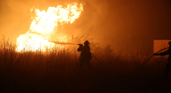 Spanien Waldbrand in Griechenland 20 Leichen in vom Waldbrand heimgesuchtem