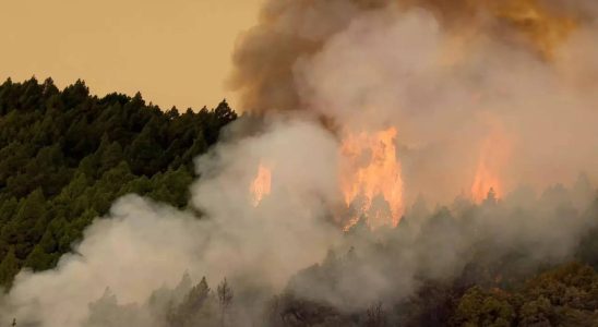 Spaniens Kanarische Inseln kaempfen mit dem „schwersten Brand seit 40