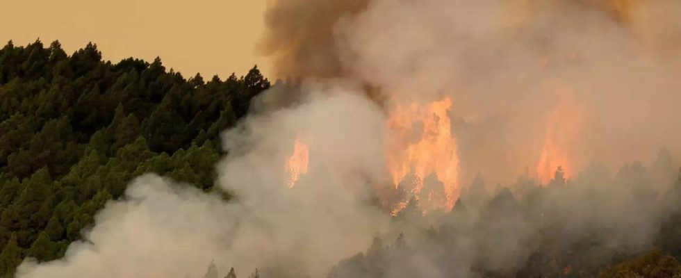 Spaniens Kanarische Inseln kaempfen mit dem „schwersten Brand seit 40